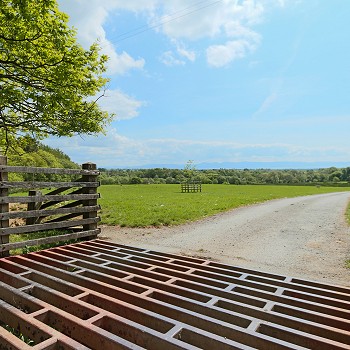 cattle grid in a field